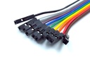 Set 10 cables Dupont 10 cm macho-hembra